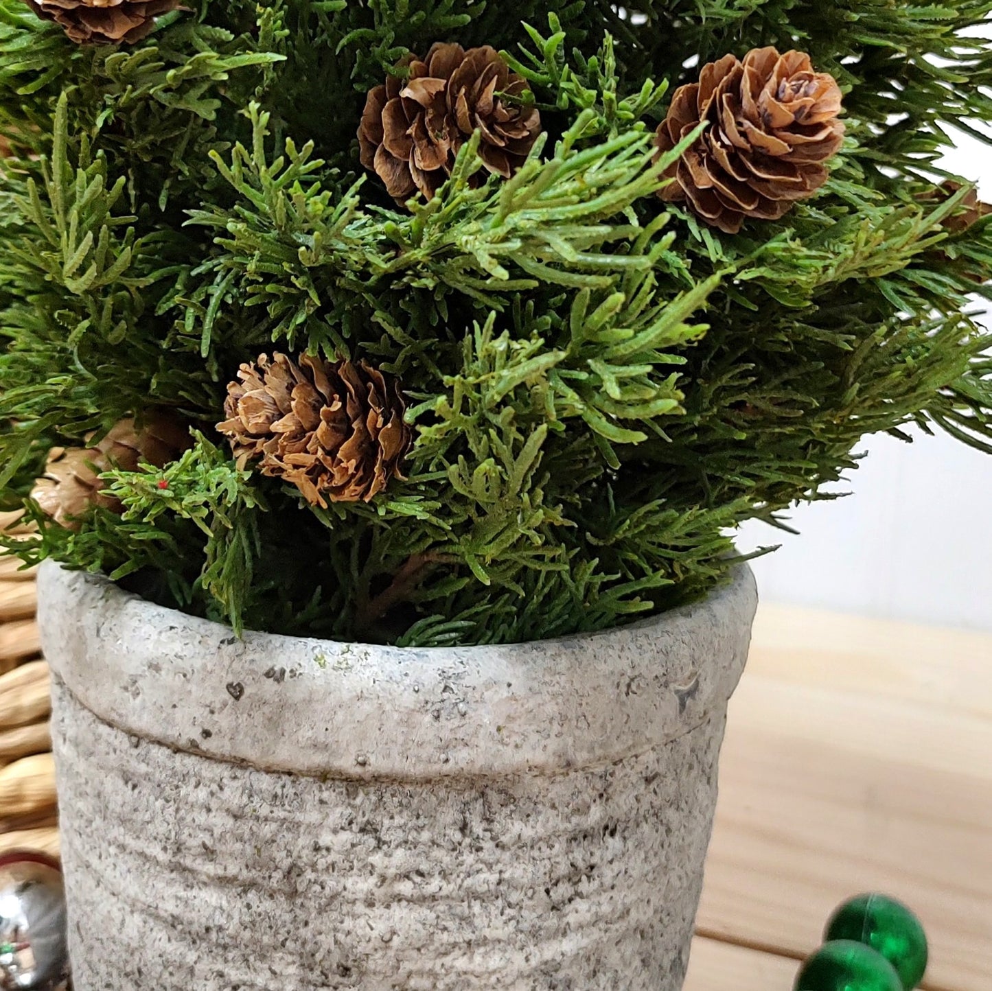 Potted Douglass Fir Pinecone Tree