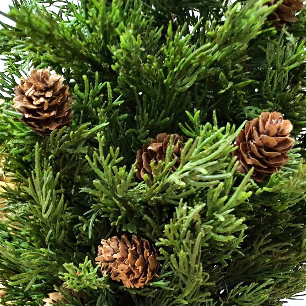 Potted Douglass Fir Pinecone Tree