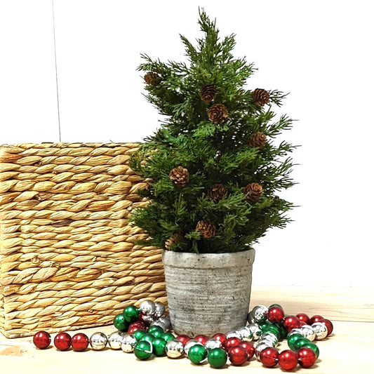 Potted Douglass Fir Pinecone Tree